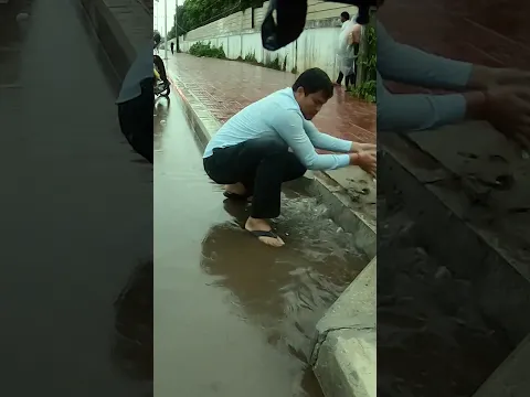 Abandon Culvert Full Clogged By Plastic #drain #remove #unclog #shorts