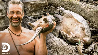 ¡Un armadillo para la cena! | Supervivencia al desnudo: edición extrema | Discovery en Español
