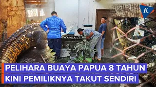 Warga Blitar Pelihara Buaya 8 Tahun, Kaget Sendiri Kini Panjangnya 3 Meter!