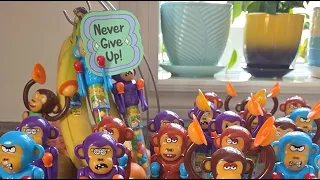 Motivational ASMR satisfying monkeys