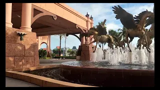 Moxie Media Marketing, Inc. "Christmas and New Year's" In Paradise 12-23-23