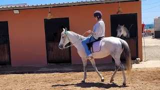 رايحين الى مجموعه الخيل في مدينه الناظور