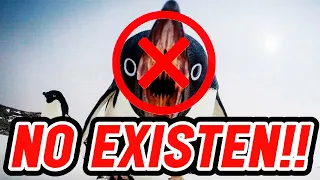 ¿LOS PINGÜINOS NO EXISTEN?🐧 | Biología Desde Cero