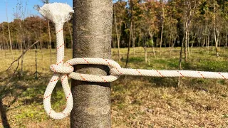 8 most USEFUL knots in the world - [you've never heard of the fourth one]