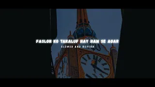 Faslon KO Takluf Hay Ham Se Ager  ['slowed+Reverb] #nature #naatstatus#butiful #naturelovers