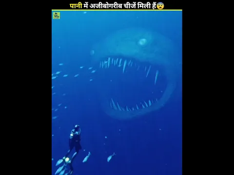 samundar ke andar Mili sabse ajeeb chijen 😨