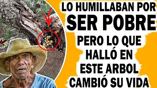 Sus Hijos lo Echaron de Su Casa, Pero lo Que Descubrió Dentro de Este Árbol Le Cambió Su Vida.