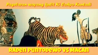 Lakon Istimewa Raden Puntodewo di pangan Macan Wayang kulit Ki Cahyo Kuntadi