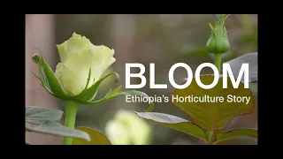 BLOOM — A Film by Antoine Lindley