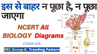 हर शिफ़्ट में पूछा जा रहा है | All Biology Diagrams | RRC Group-D 2022 |  V.V.I