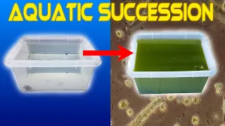 Aquatic Ecological Succession - Leaving Water Outside For 2.5 Months