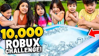 10,000 Robuxs Challenge!