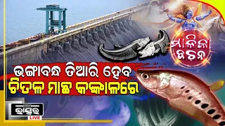 ୨୦୨୬ ରେ ଭାଙ୍ଗିବ ହୀରାକୁଦ ବନ୍ଧ, ଚିତଳ ମାଛ ହାଡରେ ହେବ ନୂଆ କବାଟ ବଦଳିବ କଟକ ନାଁ ଆଉ ବୁଲିବେ ଚଣ୍ଡୀ ଚାମୁଣ୍ଡା
