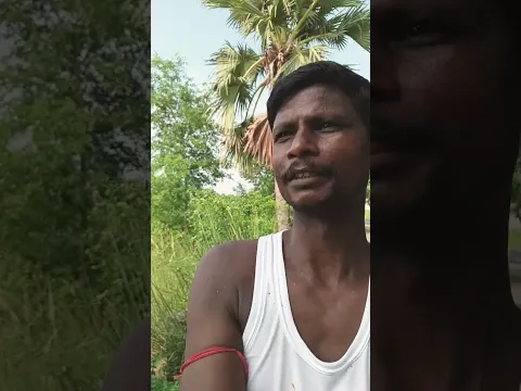 8 अगस्त 2024