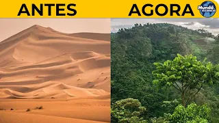 Como o deserto do Saara está se transformando em um oásis de terras agrícolas