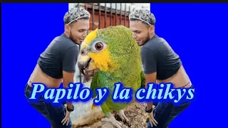 Ríete con los mejores chistes de Papilo & la chikys 😂