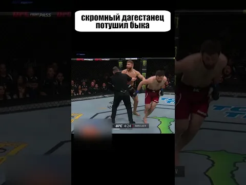 Скромный дагестанец ПОСТАВИЛ БЫКА на МЕСТО #shorts