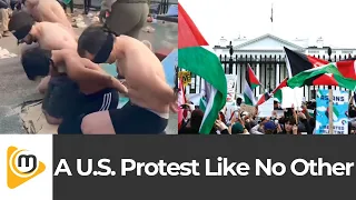 White House Demonstration #israel #palestine