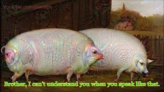BRÖTHER YOUR 𝕠𝕒𝕥𝕤 ARE MINE