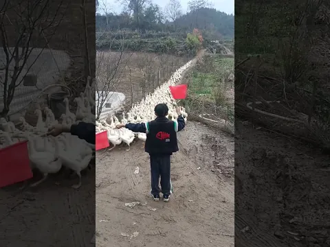 đại tướng quân điều khiển thiên binh vạn mã quá đỉnh