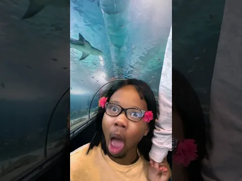 🤣🤣🤣