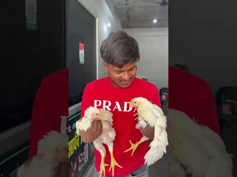 In jeevo mai bhi jaaan hai. | Satisfying or not ?♥️ #murga #sanatani #shorts