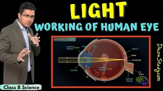 Working of Human Eye | Light | Class 8 Science | CBSE | NCERT