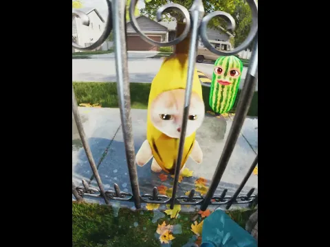 A friend of mine2 #memes #meme # #bananacat #sacabambaspis