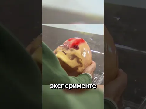 Может ли голова как лед?