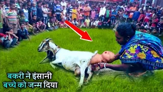 बकरी ने दो इंसानी बच्चों को जन्म दिया |  Allah ki Qudrat ka Karishma