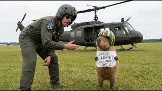 Capybara Stopped a Helicopter Disaster