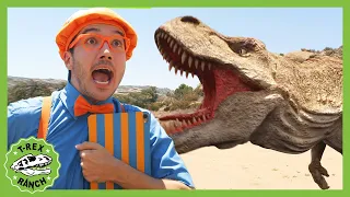 Blippi Learns About Dinosaurs at T-Rex Ranch! @Blippi