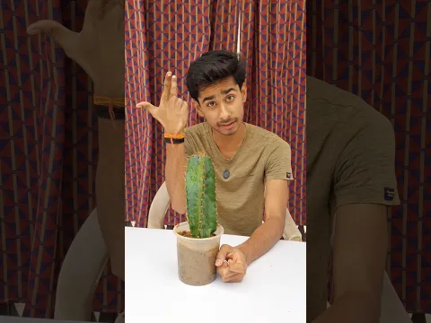 Cactus Remover Experiment #shorts #experiment