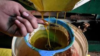 Cold Press Oil Machine | Cold Press Oil Machine 10 HP | Cold Press Oil Extraction Machine