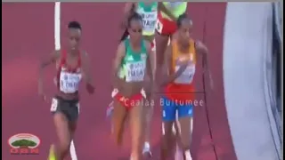 Aartist Caalaa Bultumee Welluu Urjiiwwaniif