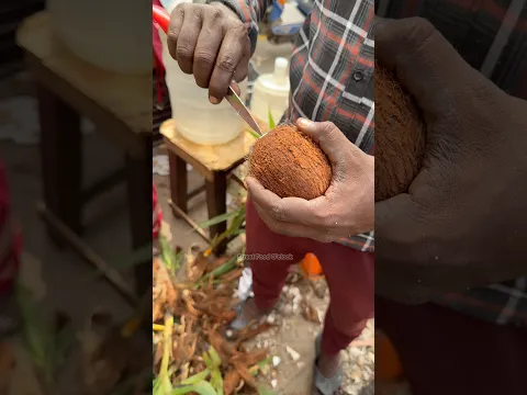 Rare Edible Sprouted Coconut Fruit From India