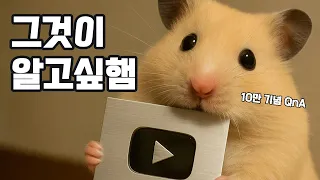 10만 기념 QnA