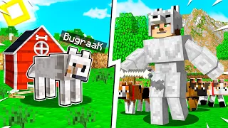 Minecraft, 100 GÜN BOYUNCA KÖPEK OLARAK YAŞADIM