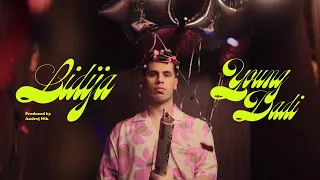 YOUNG DADI - LIDIJA [OFFICIAL 4К VIDEO] 2026