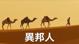 異邦人　弾き語りカバー：M. SASAO