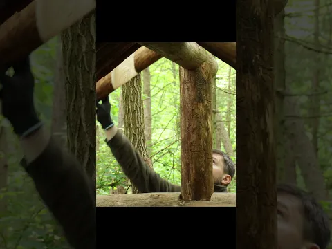 Building a Log Cabin in the Woods from Wind-Fallen Trees | FULL VIDEO ON MY CHANNEL