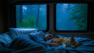 Relaxing Rain & Sleep Music • Fall Asleep Fast, Deep Sleep, Stress Relief, Insomnia Relief