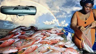 The secret of the deep blue sea I dropped the camera down to 660 ft the ultimate camera fishing test