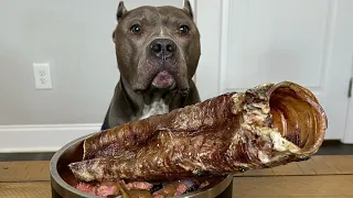 5 Star Meal