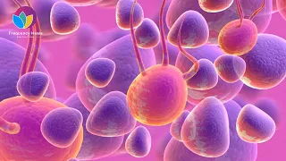 Healing Frequency for Cysts (For All Types)