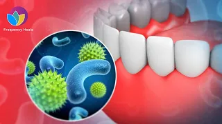 Dental Hygiene Frequency | Eliminate Harmful Bacteria in Mouth & Prevent Cavities