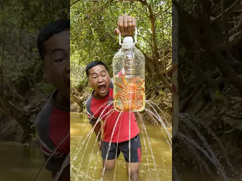 Catch Fish With Just a Plastic Bottle 🍼  #survival #fishing #shorts