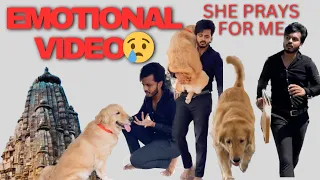 Reggie prays for me || Emotional scene || Golden retriever