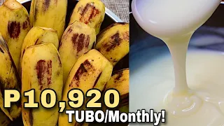 GAWIN ITO SA SAGING AT GATAS, MAPAPAPIKIT KA SA SARAP! TURON Negosyo with costing MILKY BANANA TURON