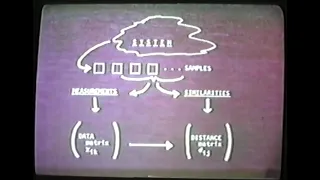Bruce Kowalski . The father of chemometrics